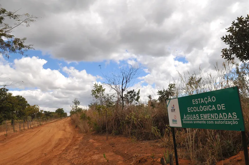 Pesquisadores denunciam risco de contaminação por mercúrio de mananciais que abastecem o DF