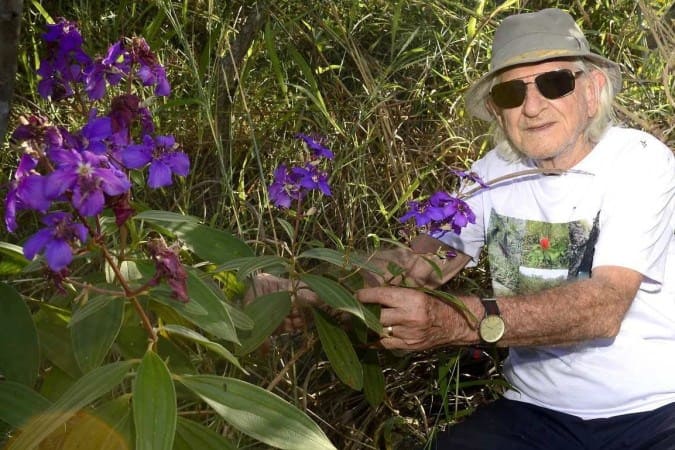 O Cerrado segue sob risco pelo avanço do desmatamento e do mau uso do solo