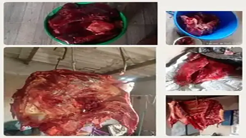 PMDF flagra comércio clandestino de carne bovina no Riacho Fundo