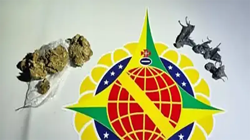 PMDF apreende substâncias entorpecentes com menor em Ceilândia