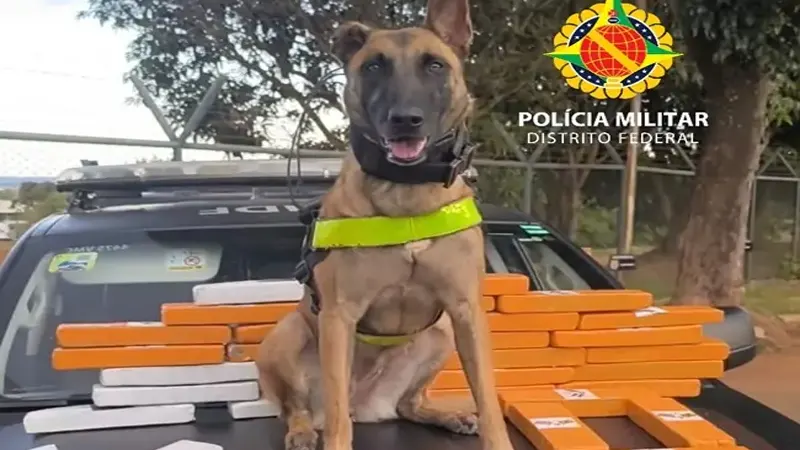 PMDF apreende 35 kg de maconha com jovem na Rodoviária Interestadual de Brasília