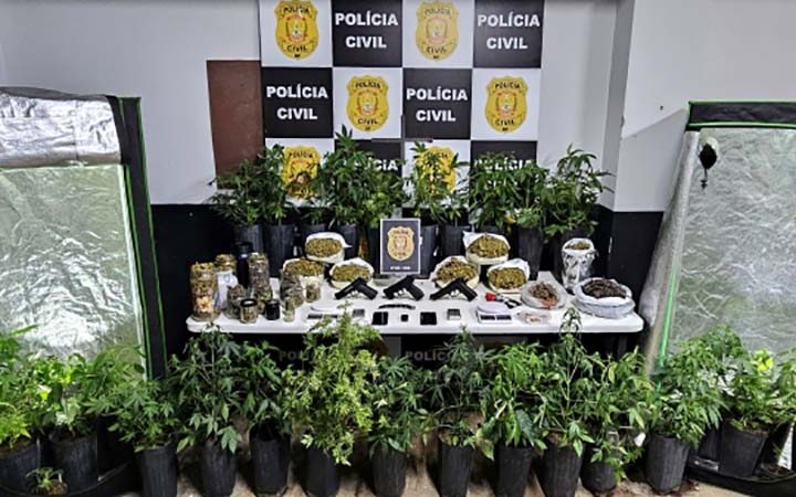 6ª DP combate o tráfico de drogas