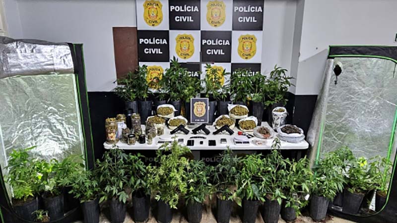 6ª DP combate o tráfico de drogas