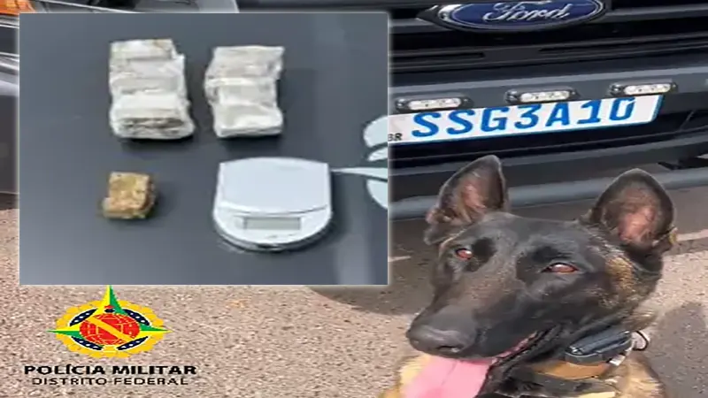 PMDF apreende drogas em Ceilândia com apoio dos cães K9 Hera e K9 Nitro