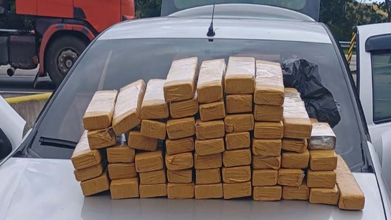 PRF e PF apreendem cerca de 50 quilos de maconha na BR-101