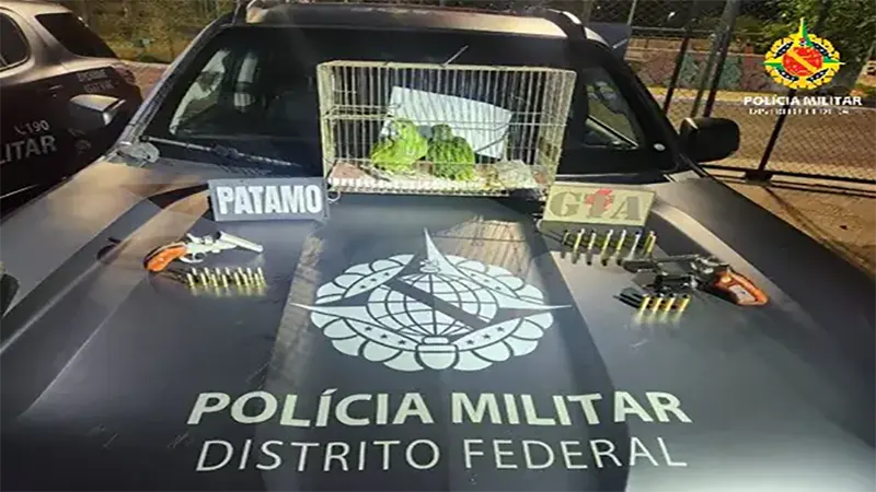 PMDF apreende armas de fogo e animais silvestres com documentação falsa em São Sebastião