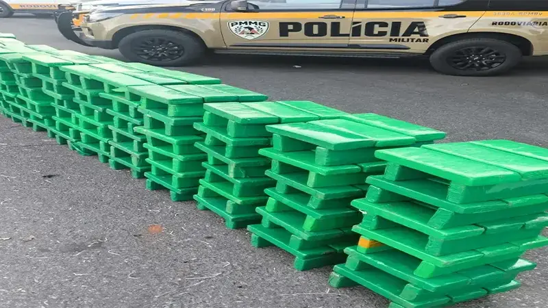 PMMG Capitólio – 850 quilos de maconha são apreendidos escondidos em carga de repolho