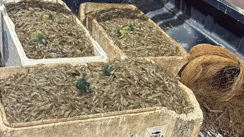 PMDF prende dupla por pesca predatória no Lago Paranoá