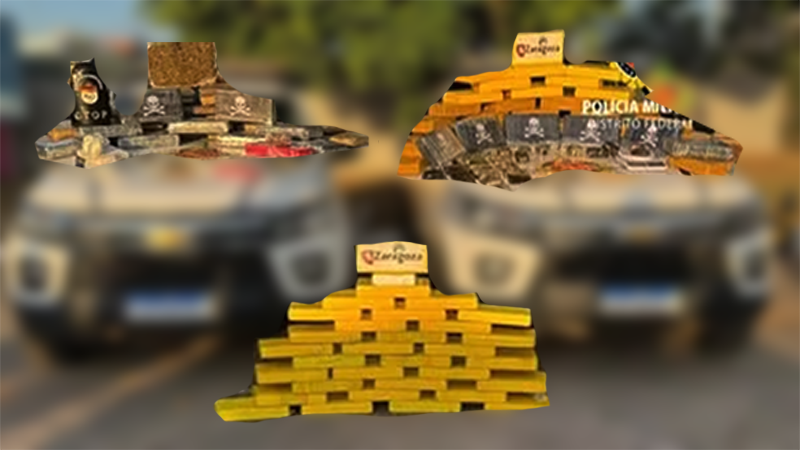 Polícia apreende grande quantidade de drogas avaliada em mais de R$ 2 milhões no DF