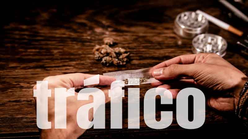 PCDF Intensifica Ações de Repressão ao Tráfico de Drogas