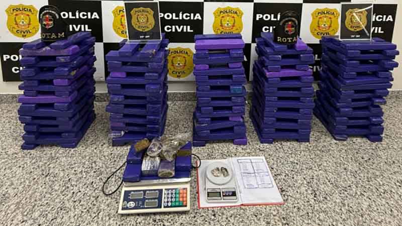Operação Purple Bricks: PCDF prende homem com quase 200 tijolos de maconha