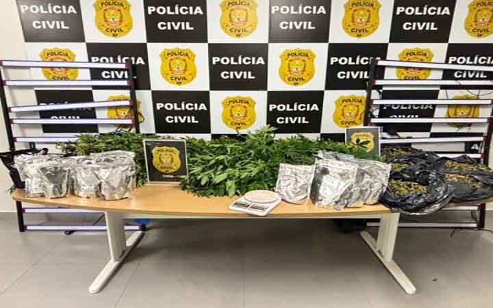 PCDF deflagra operação e prende casal por cultivo e divulgação de maconha em redes sociais