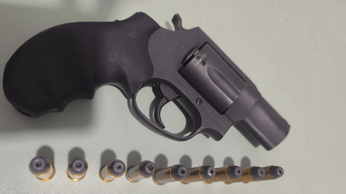 PCGO prende empresário por estelionato na venda de veículos e apreende arma de uso restrito em Aparecida de Goiânia