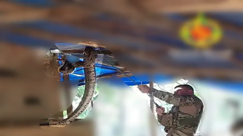 Batalhão Ambiental da PMDF Resgata Jiboia de Mais de Dois Metros no Park Way