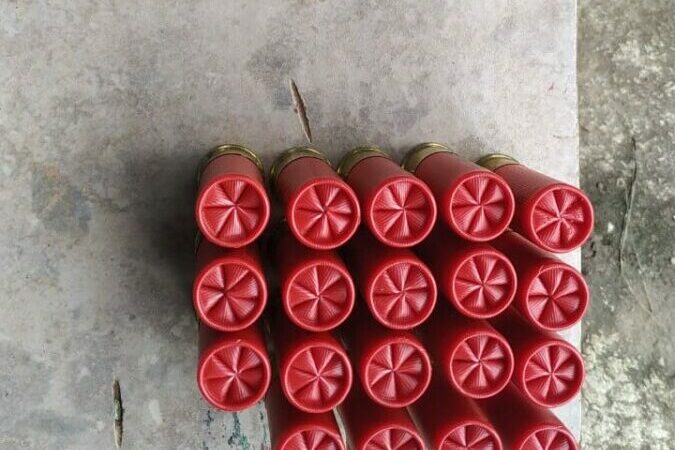 PCGO apreende armas e munições, em Cocalzinho, e procura por foragido