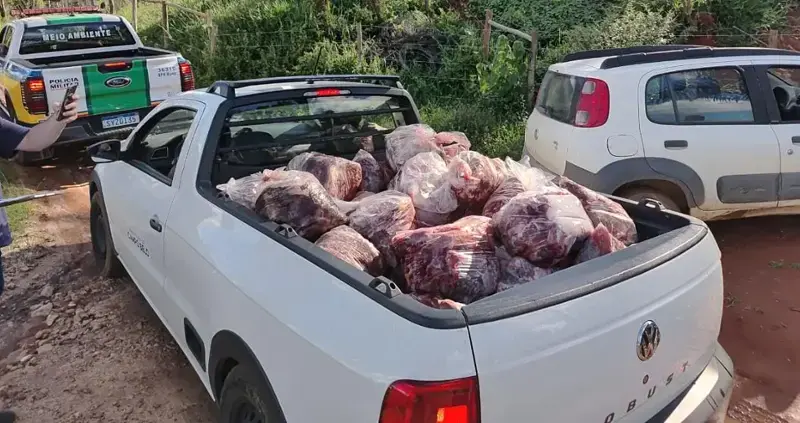 Campo Belo – Polícia Militar Ambiental MG apreende 800 kg de carne provenientes de abate clandestino