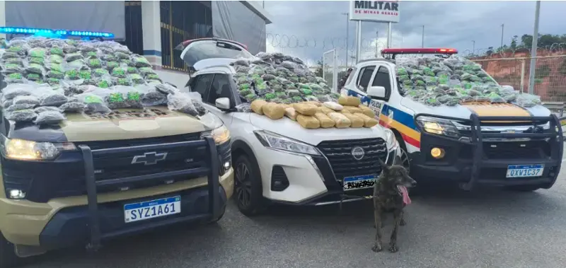 Divinópolis – PM combate o tráfico internacional de drogas e apreende mais de 350 pacotes de maconha e derivados