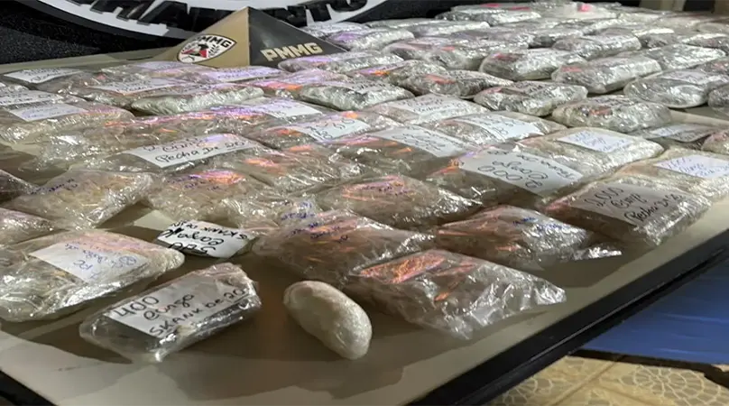 PMMG Teófilo Otoni – Carregamento de drogas é apreendido