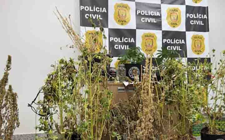 PCDF prende homem por tráfico de drogas em Taguatinga/DF
