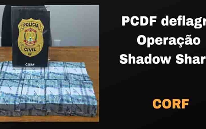 PCDF deflagra Operação Shadow Shark e prende indivíduo por lavagem de dinheiro
