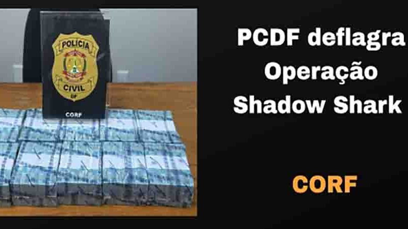 PCDF deflagra Operação Shadow Shark e prende indivíduo por lavagem de dinheiro