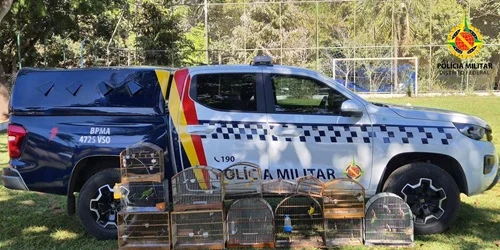 PMDF AUTUA SETE PESSOAS POR CRIMES CONTRA A FAUNA E RESGATA AVES SILVESTRES NO ITAPOÃ E CANDANGOLÂNDIA