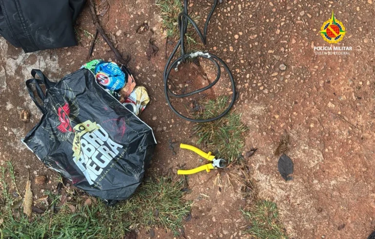 PMDF prende dois homens em flagrante por furto de fios elétricos na Asa Norte