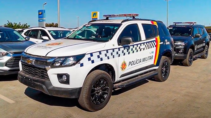 Tamanduá-bandeira órfão é resgatado pela Polícia Militar Ambiental após atropelamento da mãe no DF