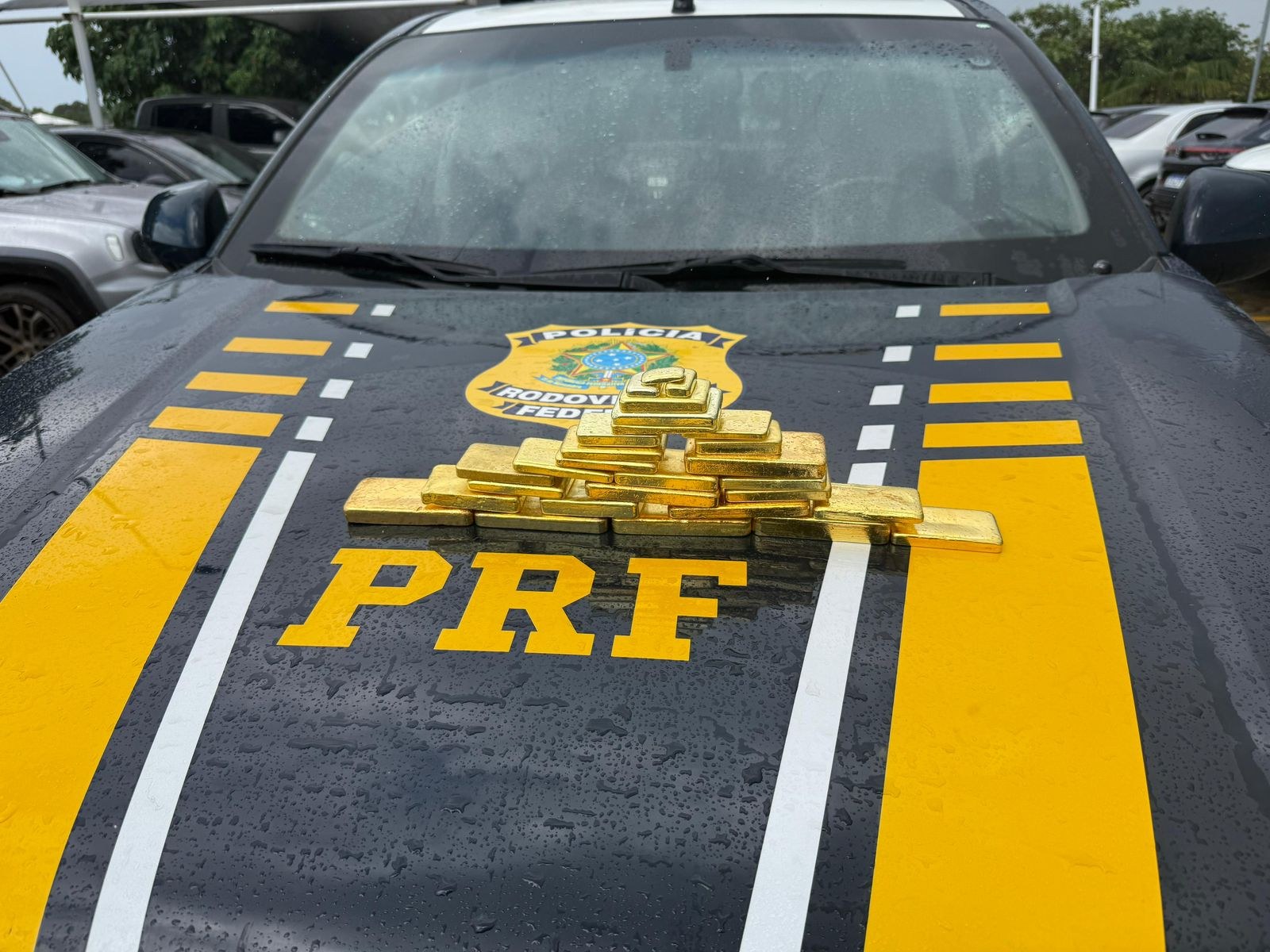 PRF apreende ouro ilegal avaliado em cerca de R$ 10 milhões em Rorainópolis/RR