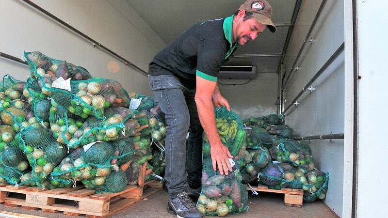 Cesta Verde: quem recebe o Prato Cheio pode ganhar frutas e verduras em casa no DF