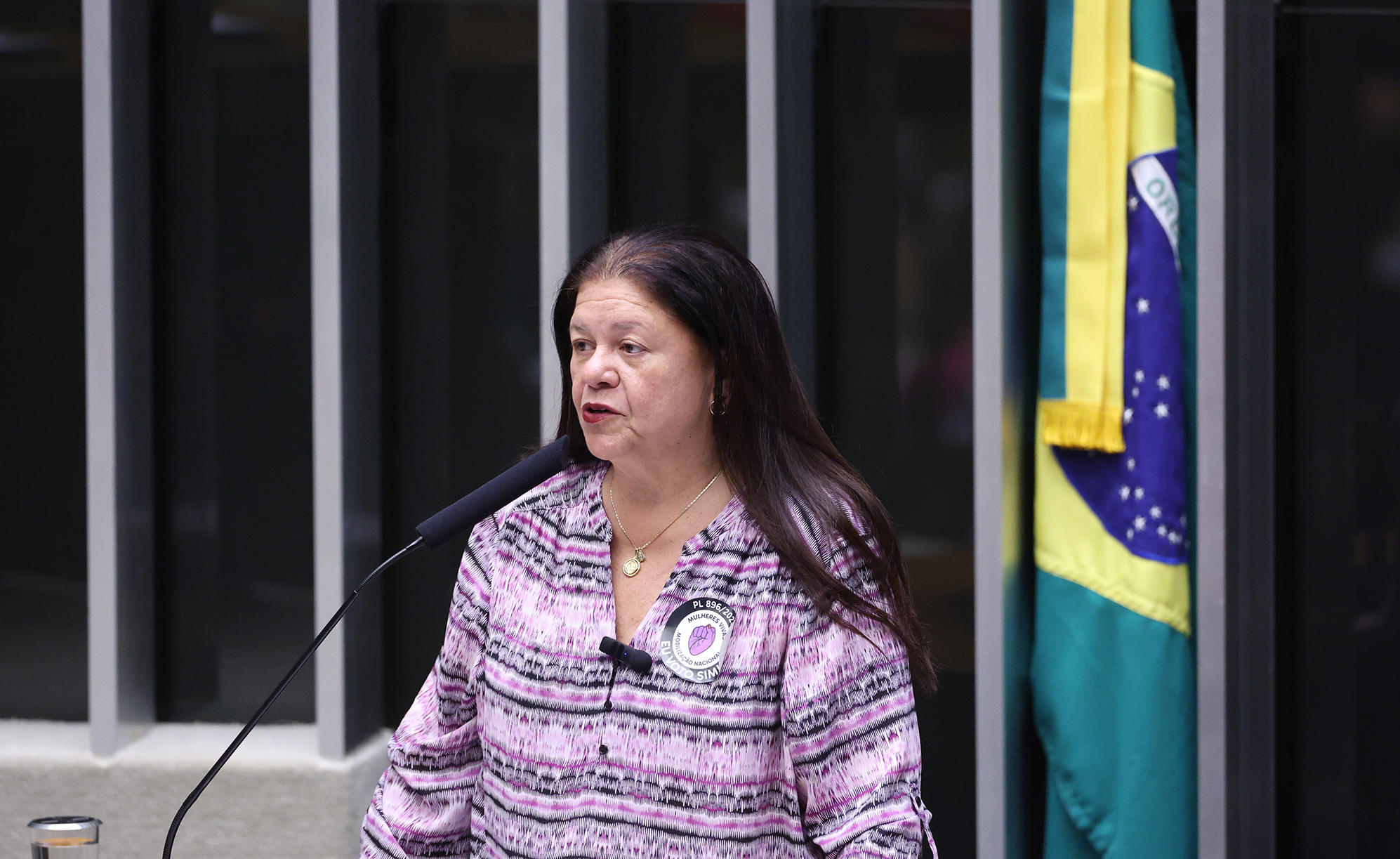 Câmara aprova endurecimento de penas para feminicídio
