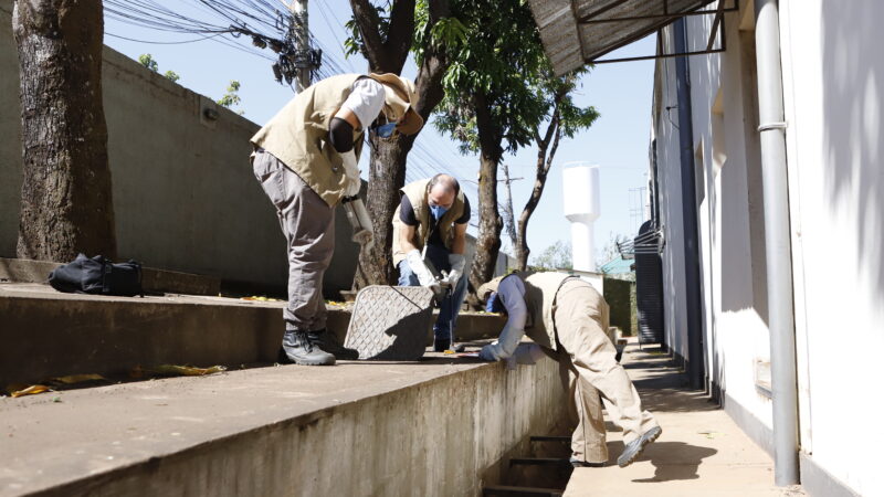 Agentes de saúde fazem atuação preventiva contra escorpiões no DF