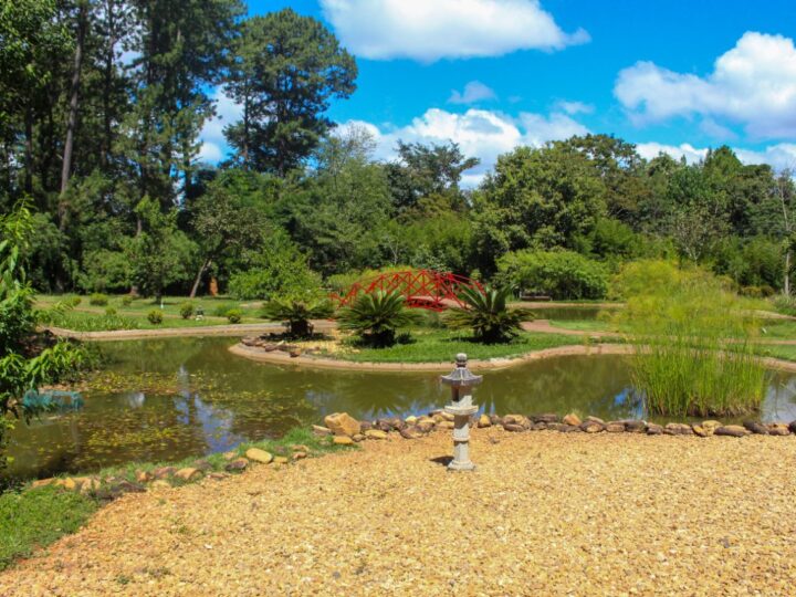 Setembro no Cerrado: Jardim Botânico de Brasília convida a conhecer flores e frutos do bioma
