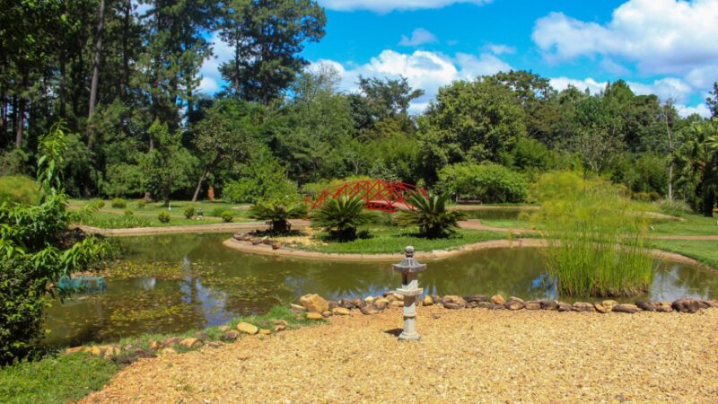 Setembro no Cerrado: Jardim Botânico de Brasília convida a conhecer flores e frutos do bioma