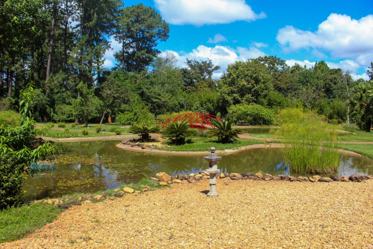 Setembro no Cerrado: Jardim Botânico de Brasília convida a conhecer flores e frutos do bioma