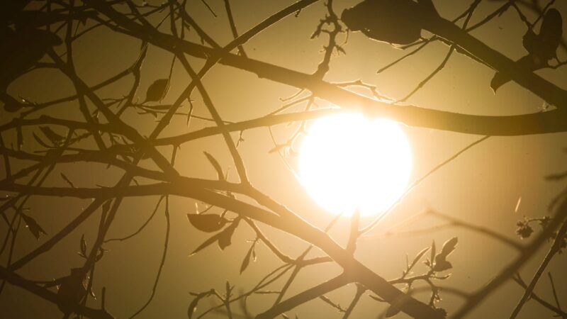 DF entra em alerta de baixa umidade e pode ter máxima de 38°C no início de outubro