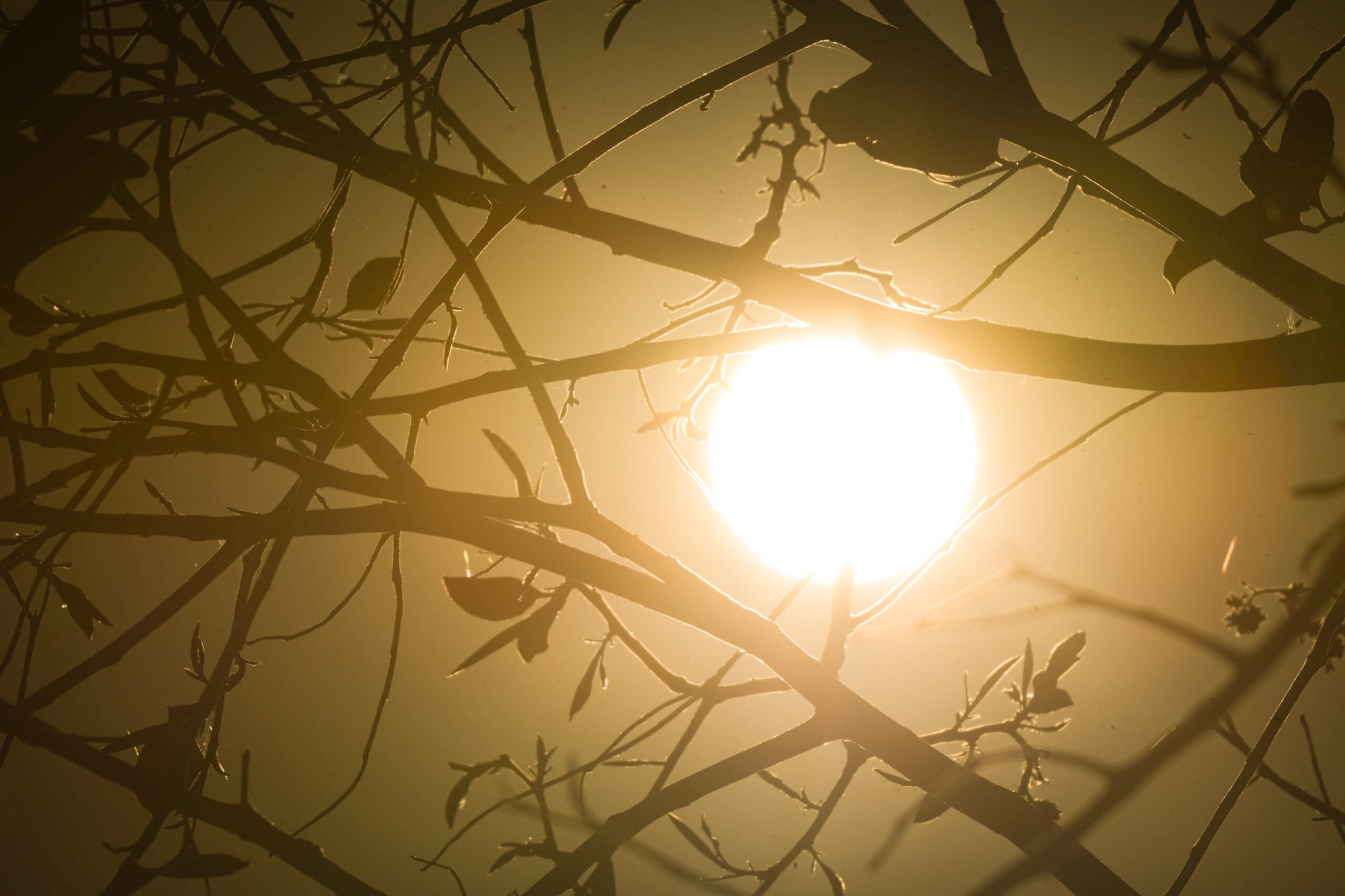 DF entra em alerta de baixa umidade e pode ter máxima de 38°C no início de outubro
