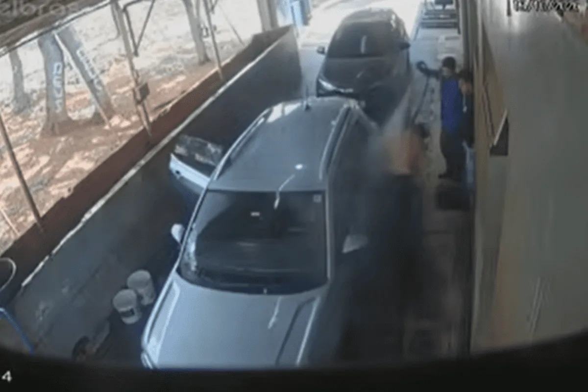 Trabalhadores atacados espantam abelhas com jatos d’água na Asa Norte